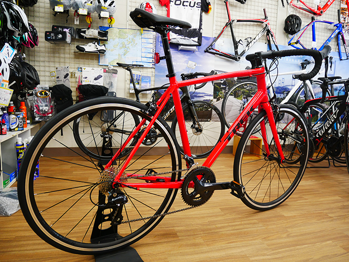 domane al 3 2019