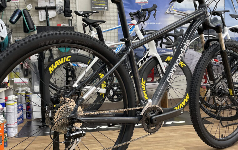 CANNONDALE_Trail-6_GRAY