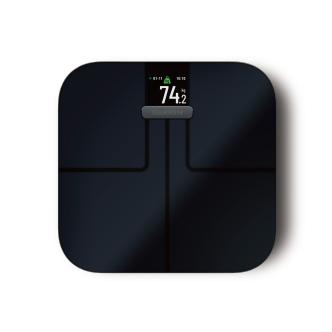 GARMIN_index S2