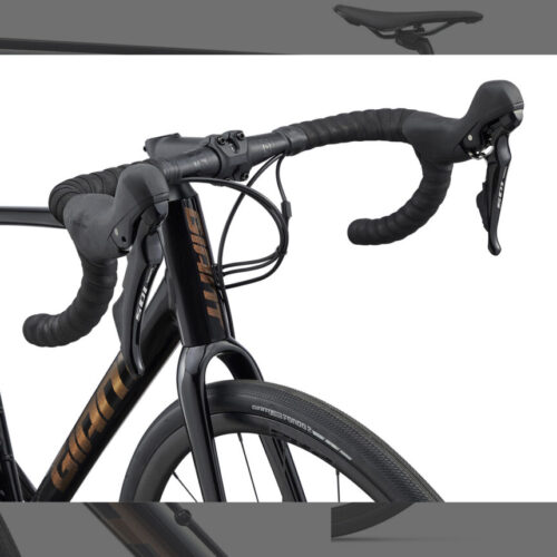 GIANT_CONTEND_AR_1_BK
