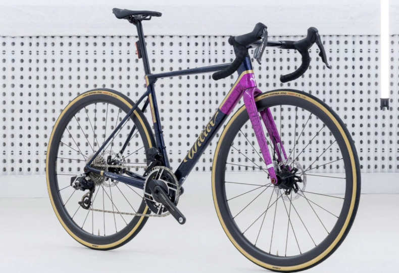 Wilier_Infinitamente_VERTICALE_SLR_colorcustom_top