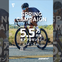 GIANT_SPRING_CAMPAIGN_2025_top