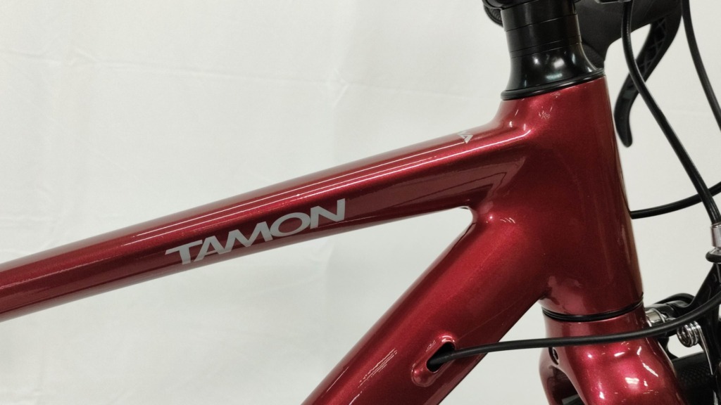 毘沙_roadbike_TAMON