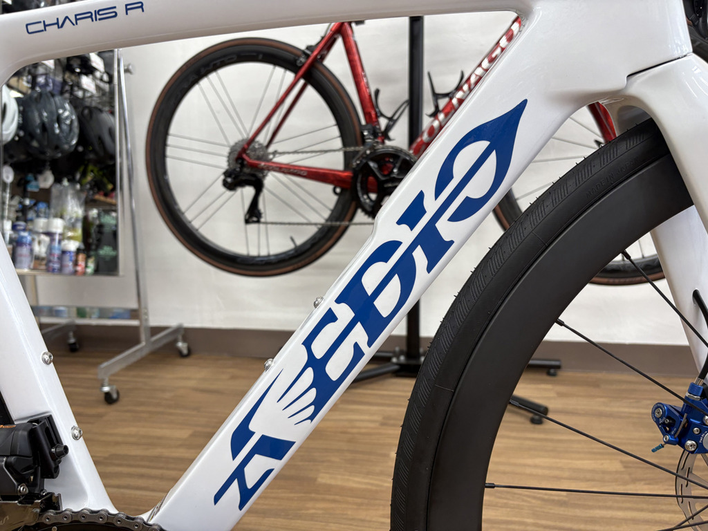 AVEDIO_CHARIS_R_カラーオーダー_R8150