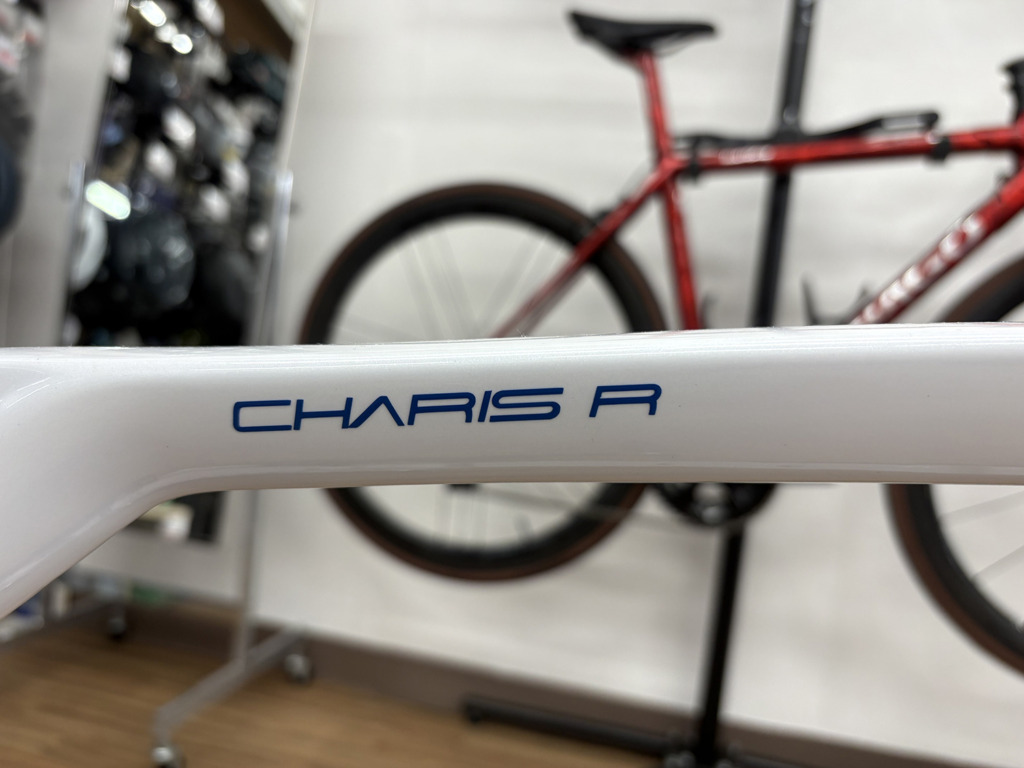 AVEDIO_CHARIS_R_カラーオーダー_R8150