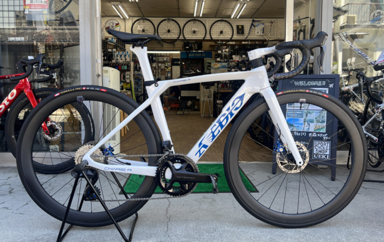 AVEDIO_CHARIS_R_カラーオーダー_R8150_top