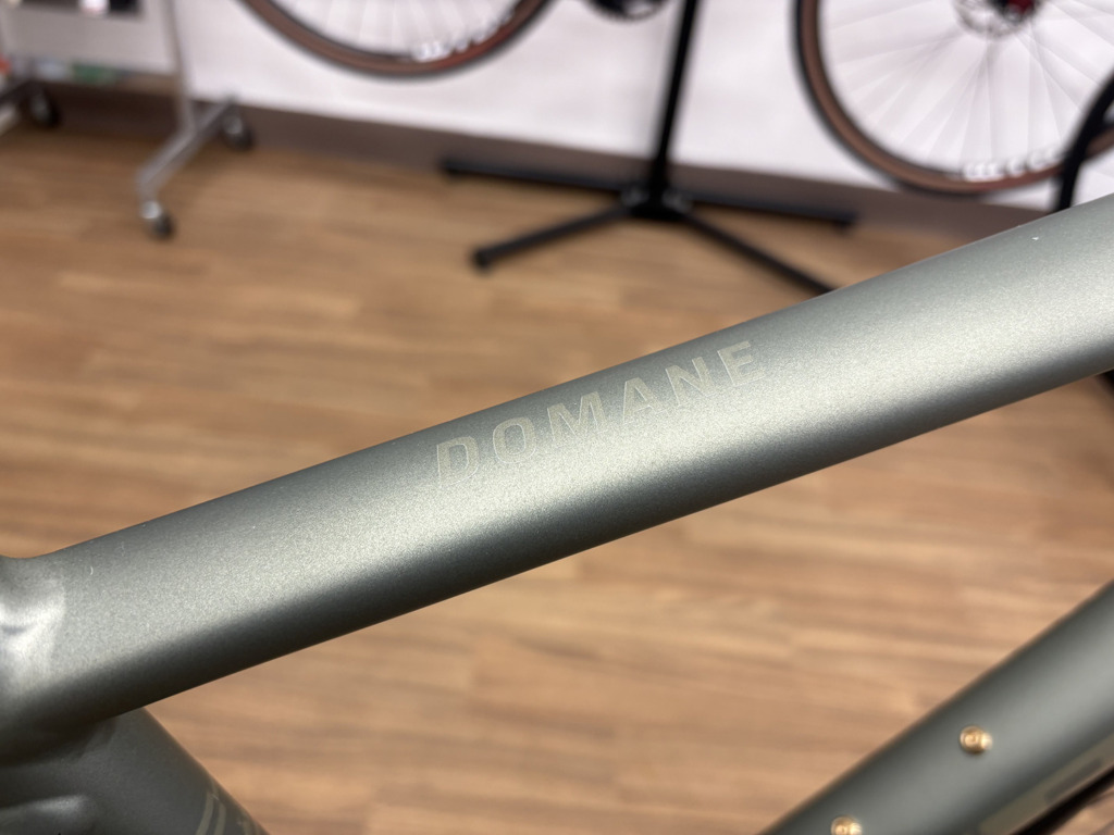 TREK_Domane_AL5_Gen4_LichenGreen