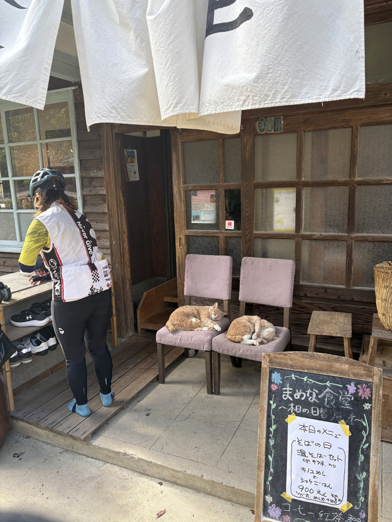20251103_ゆるめライド_とびしま海道_まめな食堂