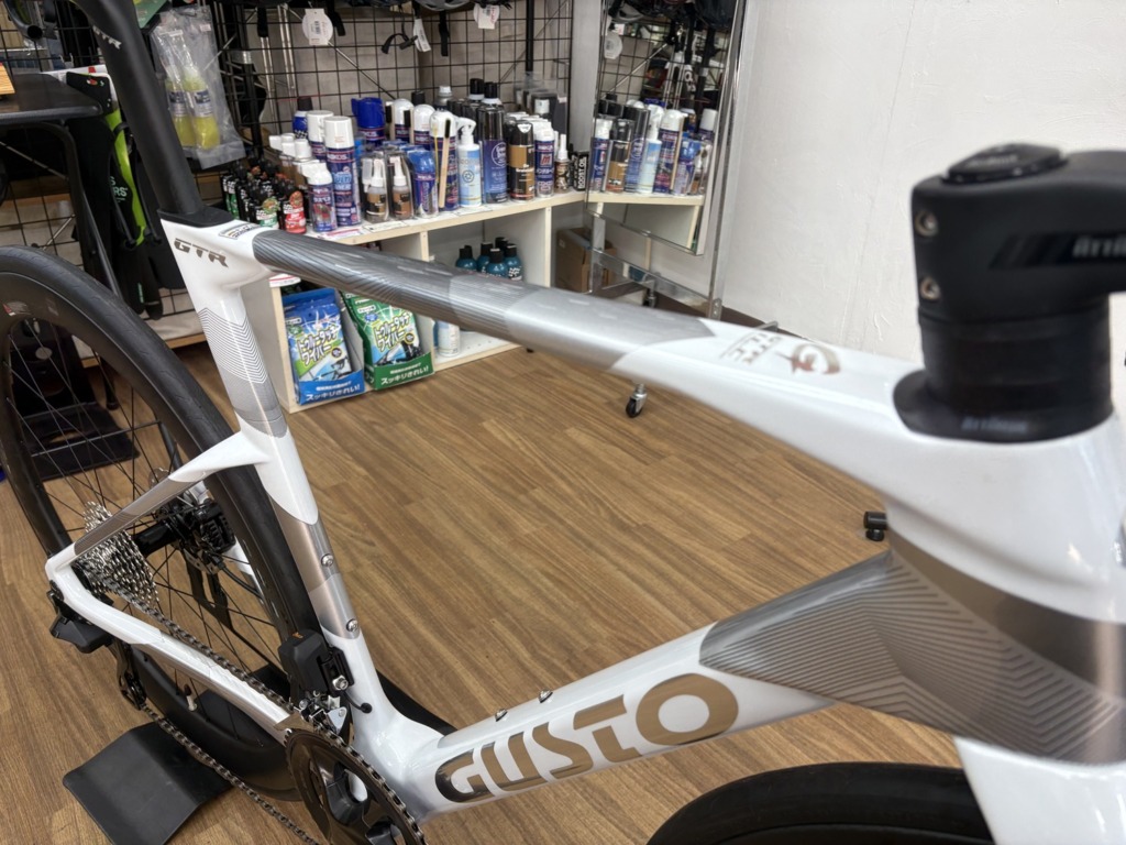 GUSTO_GTR_SPORT_TE_Peal-White