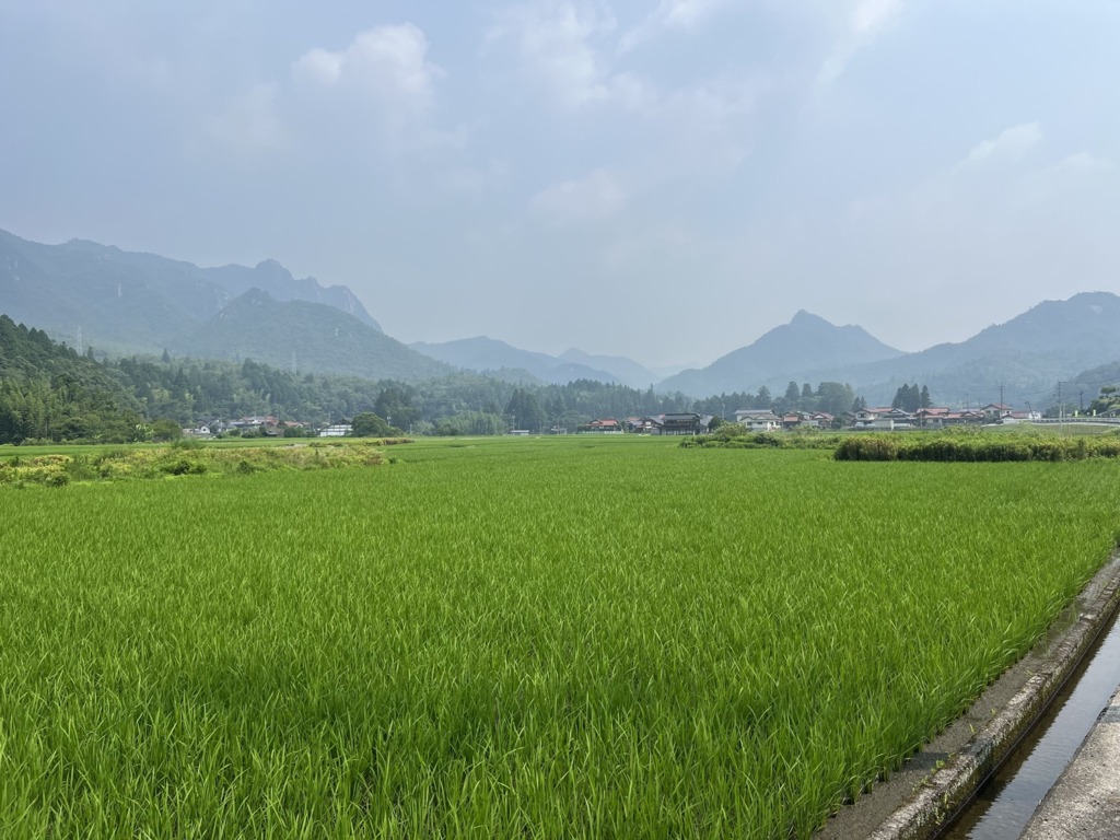 ウエキのサイクルチャレンジ_IMG_6325_大栗林から三倉岳をのぞむ