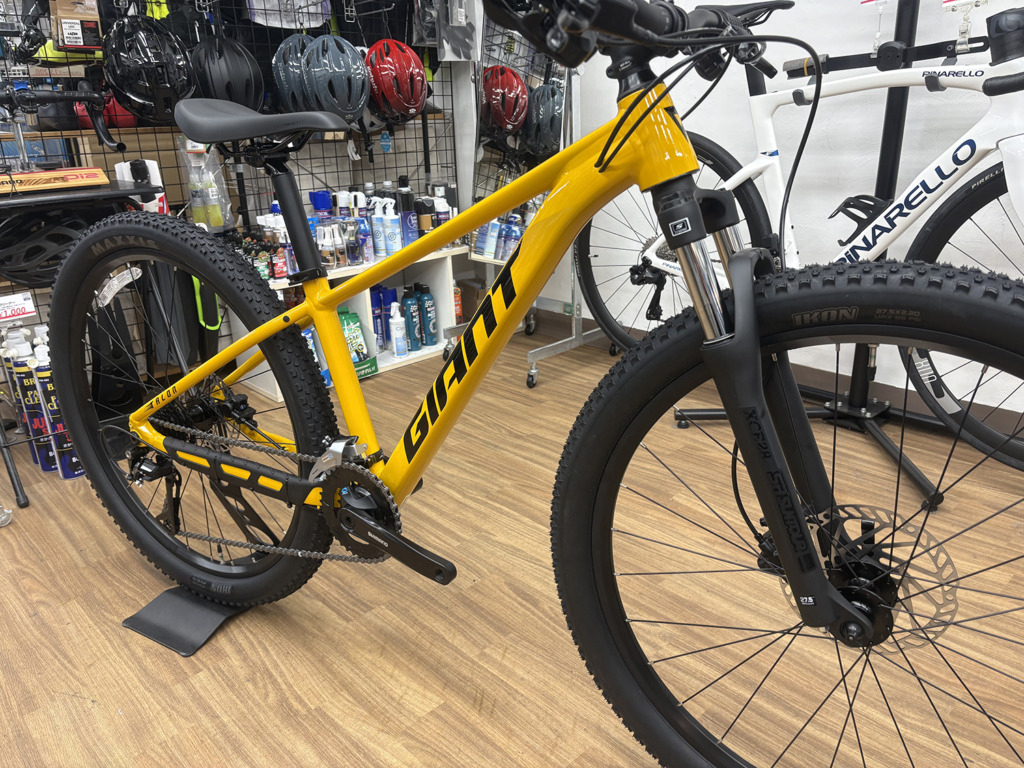 GIANT_TALON_3_YEL_ビーワックス_02