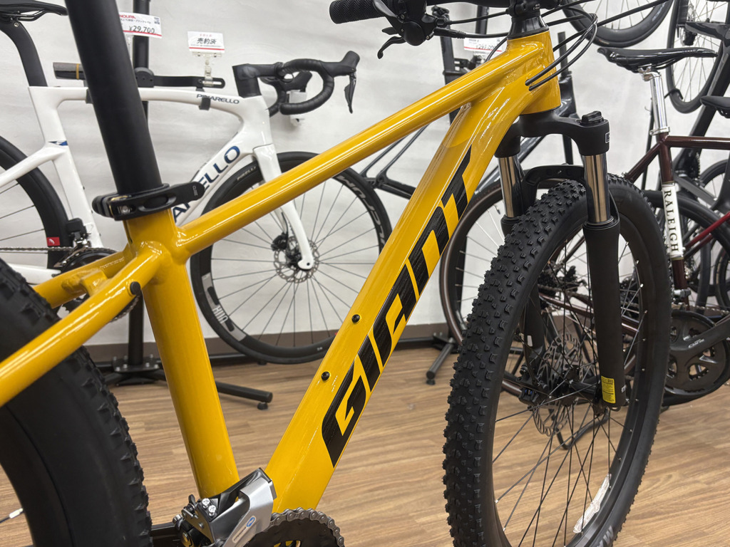 GIANT_TALON_3_YEL_ビーワックス_06