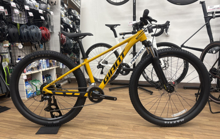 GIANT_TALON_3_YEL_ビーワックス_top