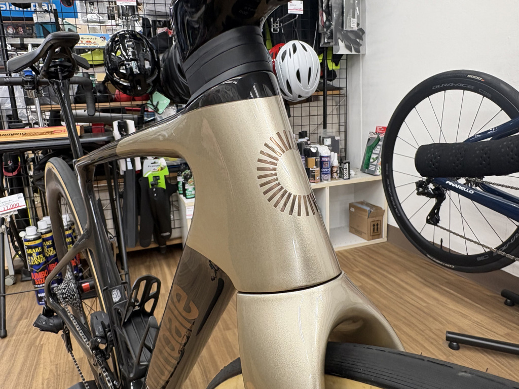 CANNONDALE_SUPERSIX_EVO_Hi-mod