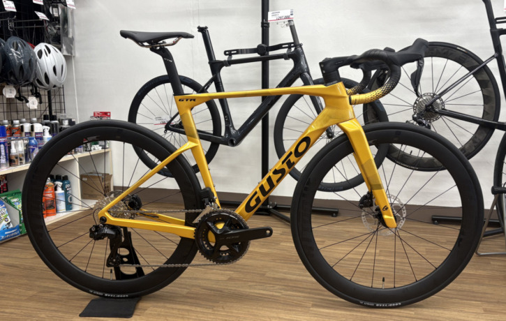 GUSTO_GTR_SPORT_TE_GOLD