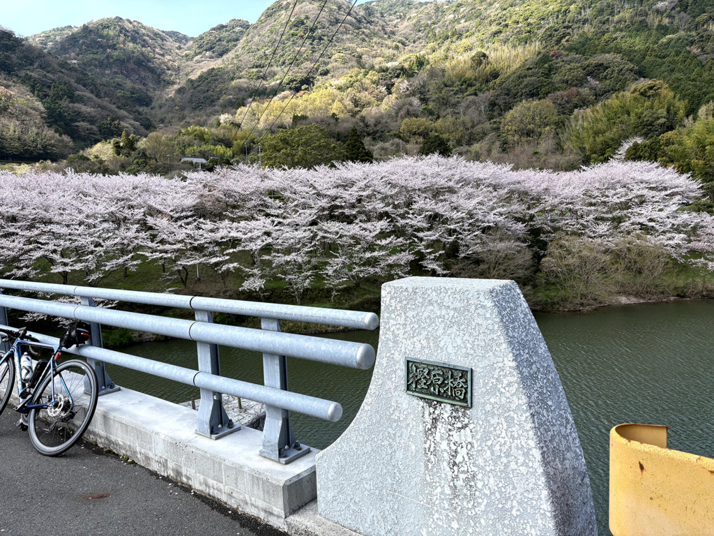 20260405_お花見ライド_周防大島