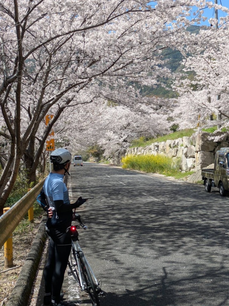 20260405_お花見ライド_周防大島