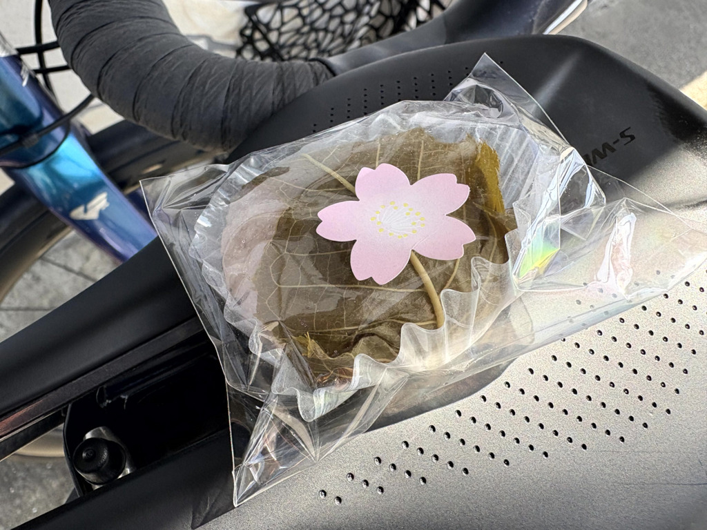 20260405_お花見ライド_周防大島