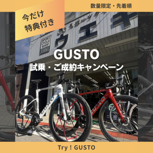 GUSTO_GTR_COBRA_testride_campaign_top