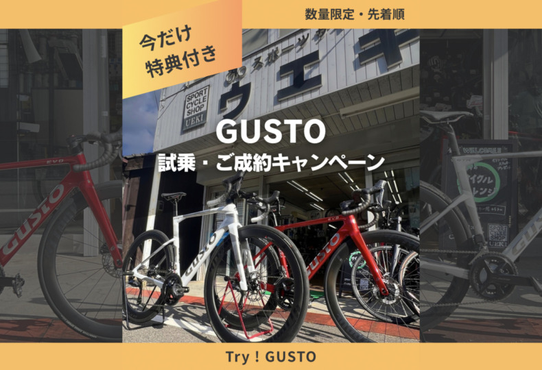 GUSTO_GTR_COBRA_testride_campaign_top