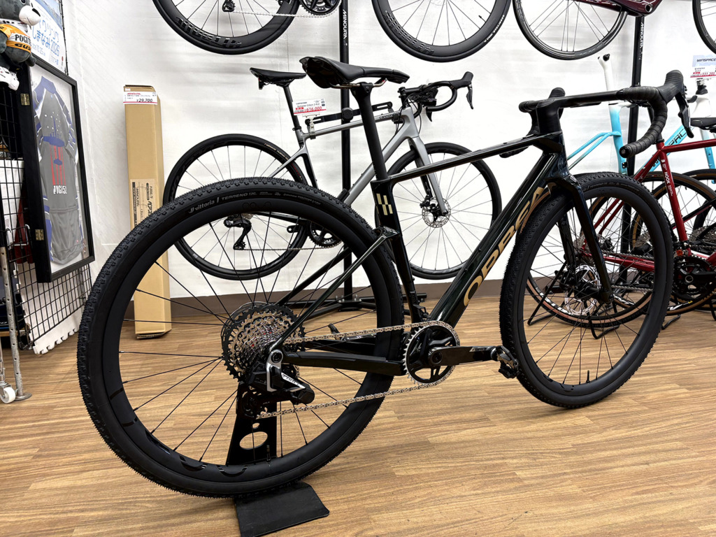 ORBEA_TERRA_RACE_M21eLTD_1X_MyO_custom