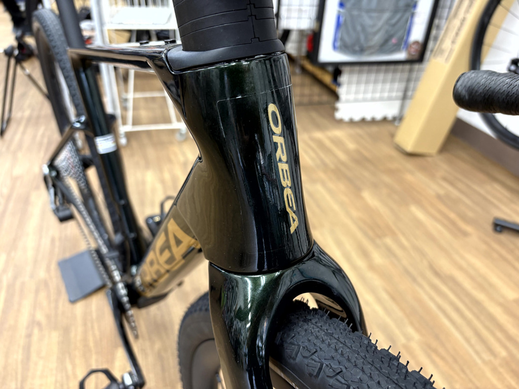 ORBEA_TERRA_RACE_M21eLTD_1X_MyO_custom