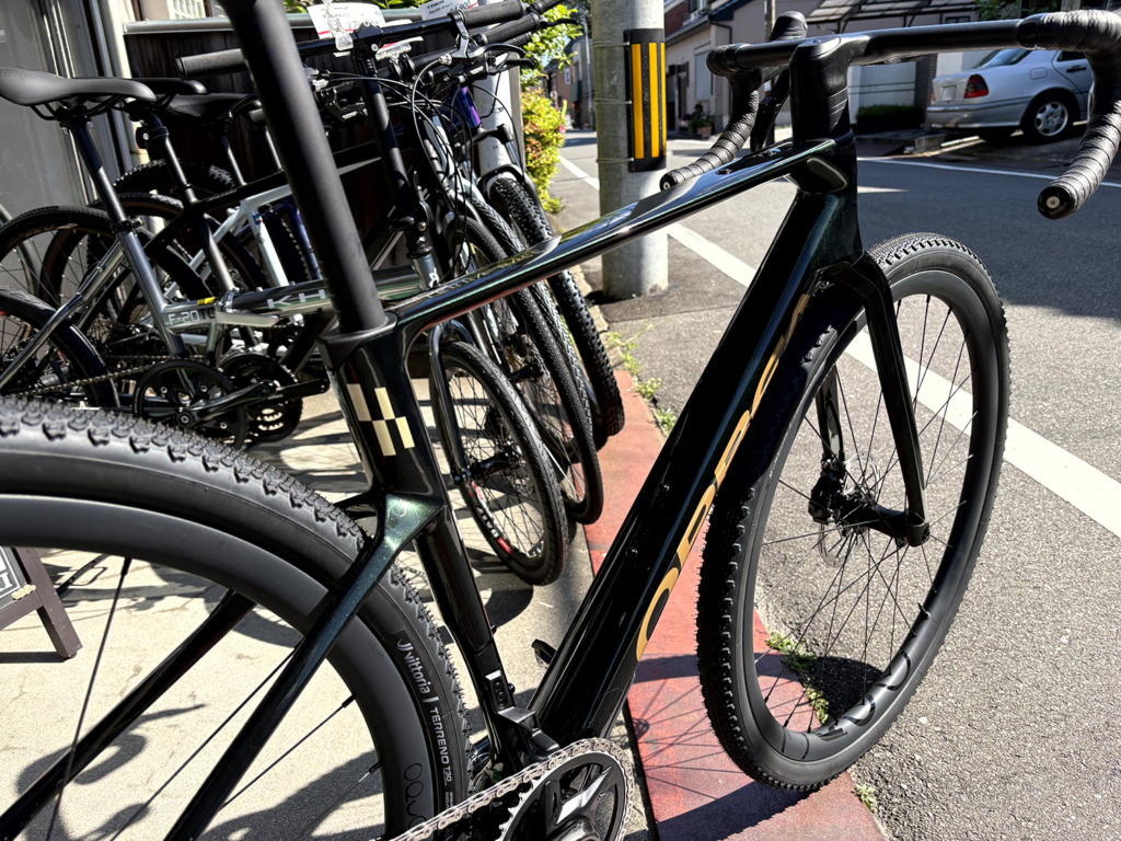 ORBEA_TERRA_RACE_M21eLTD_1X_MyO_outside