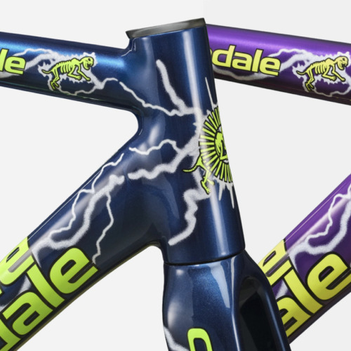 Cannondale_CAAD14_TeamDream_Frameset