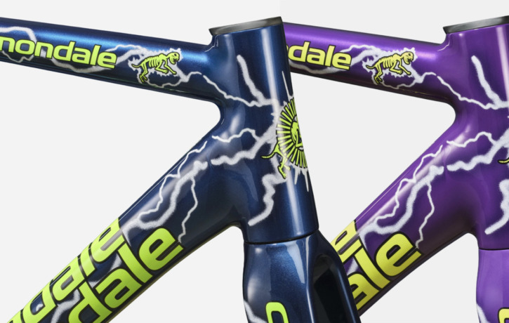 Cannondale_CAAD14_TeamDream_Frameset