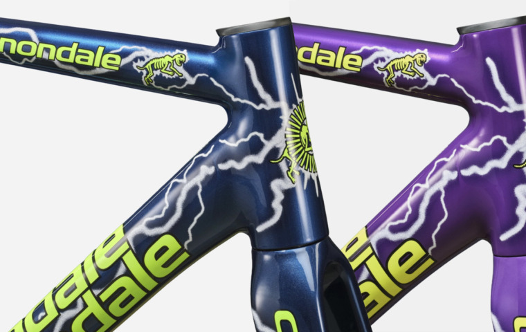Cannondale_CAAD14_TeamDream_Frameset