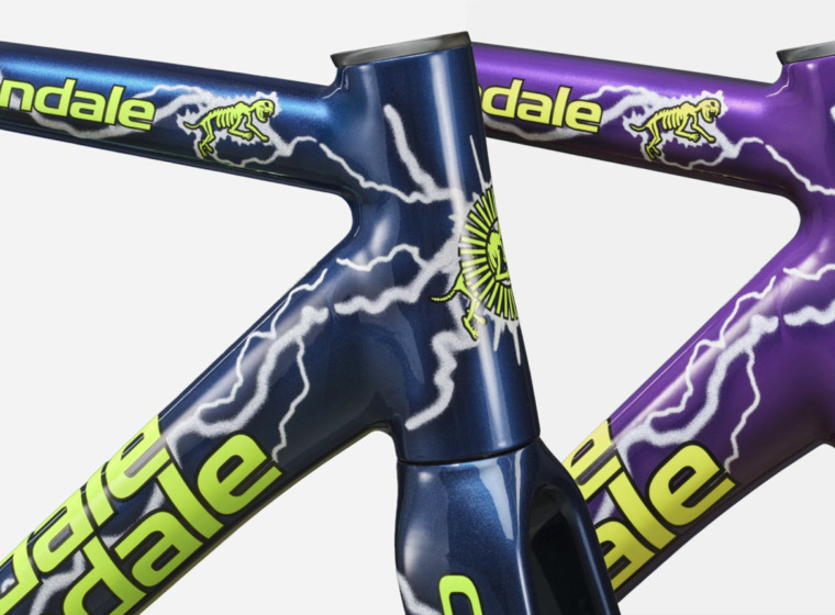 Cannondale_CAAD14_TeamDream_Frameset