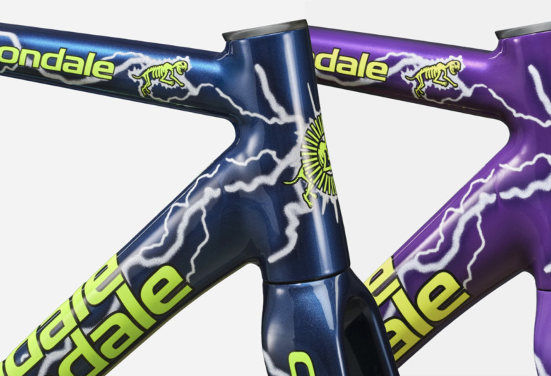 Cannondale_CAAD14_TeamDream_Frameset